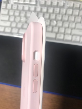 Apple 정품 맥세이프 아이폰 13 프로 맥스 실리콘 케이스 초크 핑크, 지마켓 [21/10/12]