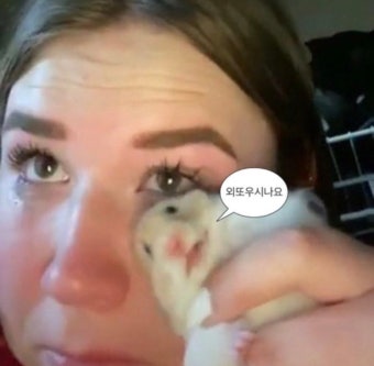 햄스터로 눈물 닦는 짤 사용하지 말아주세요