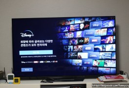 디즈니플러스 한국 가입과 가격, 동시접속, LG스마트TV 연결하기