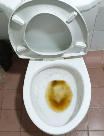 김포시 통진읍 변기막힘 24시 출장