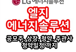 LG에너지솔루션 공모 상장 청약 주관사 청약일정