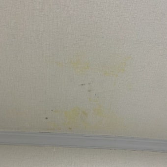 관악구 성현동 누수 24시 출장 업체