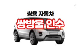 쌍방울 그룹 광림을 축으로 쌍용차 인수 검토(ft.주가)