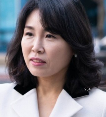 이재명 와이프 아내 김혜경 프로필 나이 학력 고향 법인카드 의혹