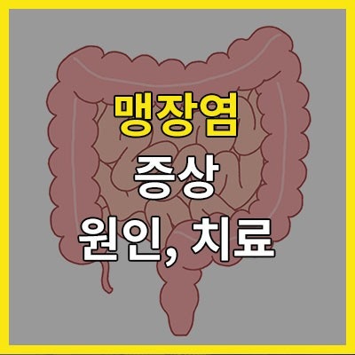 맹장염의 이해 역사부터 현재까지, 그리고 대처법 2 맹장염