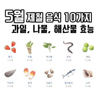 5월 제철음식 10가지! (과일, 나물,해산물 특징과 효능)