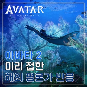 아바타 2 미리 접한 해외 평론가 반응 개봉 예정 신작 영화 추천