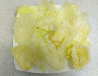 양배추찜 만들기 양배추 찌는 시간 삶는 시간