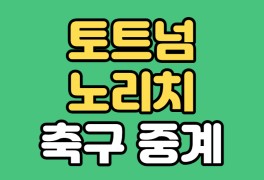 토트넘 노리치 실시간 무료 생중계(스포티비 손흥민 선발...