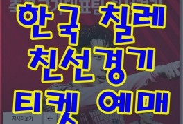 대한민국 칠레 예매 축구 티켓 티켓팅 일정 한국 칠레 친선경기...