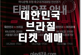 한국 브라질 티켓 예매 대한민국 브라질 축구 예매 티켓팅 시간...