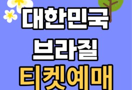 대한민국 브라질 티켓예매 한국 브라질 축구 예매 평가전 시간...