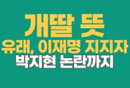 개딸 뜻_민주당 이재명 극성 지지자, 박지현 사태, 왜 요즘 자주...