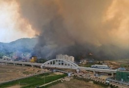 경북 울진 야산서 불…'산불 2단계' 발령, 진화 작업 중(2022)