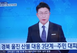 [특보] 경북 울진 산불 3단계 발령…4개 지역 주민 대피