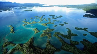 솔로몬 제도, 마로보 석호의 산호초(Coral-reef in Marovo Lagoon in the Solomon Islands)