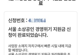 서울 소상공인 경영위기 지원금 대상자 확인 및 신청 방법...
