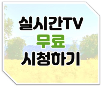 실시간 무료 TV 온에어 시청하기 티빙(TVING) 예능 드라마 보기