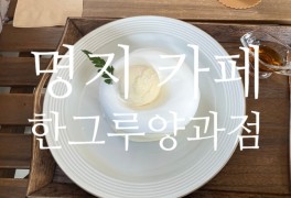 명지 수플레 팬케익 맛집 '한그루양과점'