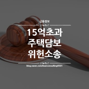 15억초과 주택담보대출 위헌소송 : 16일 공개변론