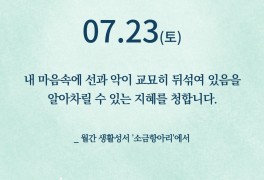 생활성서 - 소금항아리 2022/7/23/연중 제16주간 토요일/대서