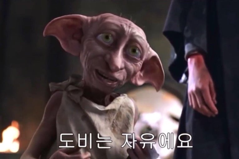 ISFP여자의 특징 알아보자!!