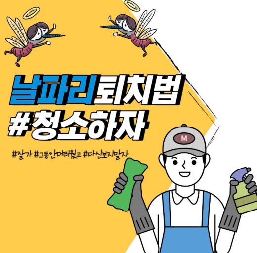 "날파리를 제거하는 효과적인 방법 총정리 100" 1