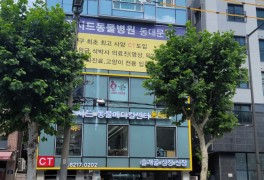 중랑구 동물병원 루시드메디컬센터 강아지건강검진병원추천