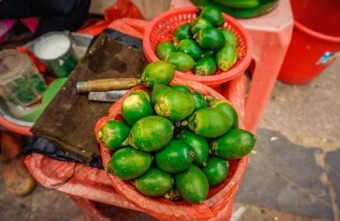 槟榔 빈랑 : 1급 발암 물질 vs 기호식품