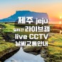 제주 실시간 라이브캠 CCTV Live 유투브 제주교통정보센터 Now Jeju 나우제주 제주날씨 용두암...