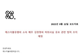에스더블유엠피 측, "배우 김정영씨 허위사실 유포 관련 법적...