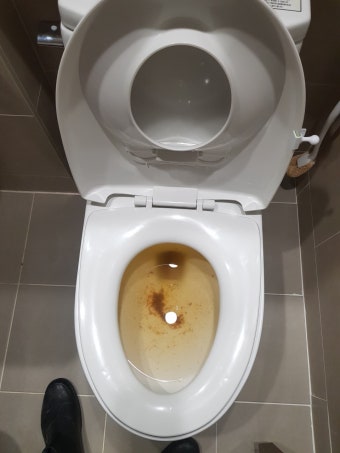 동안구 관양동 변기막힘 24시 출장 업체