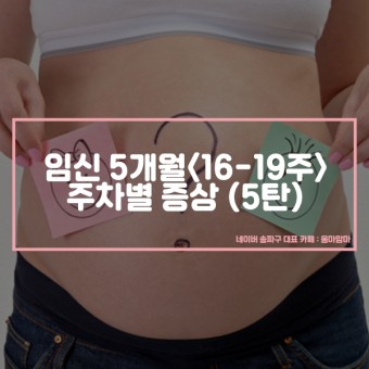 임신 5개월 증상(16~19주) : 주차별 증상 5탄 (임신/출산/육아 정보)