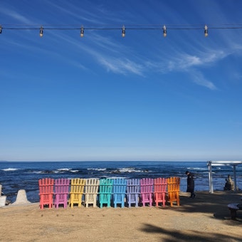 바다보며 데이트하기 좋은 포항 오션뷰카페 Best 5