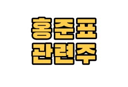 홍준표 관련주 경남스틸 티비씨 한국선재 홈센타홀딩스 삼일...