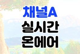 채널A 온에어 실시간 무료 방송 편성표 보기