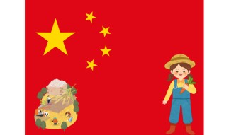 중국은 고추를 1년에 1번만 수확해요.