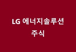 국내 주식 추천 LG에너지솔루션 주식 (주가 전망?)