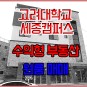 세종시 고려대학교 세종캠퍼스 수익형 부동산 매매