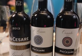 피오체사레 데이 - 이탈리아 와인 모임을 가졌습니다.(바롤로...