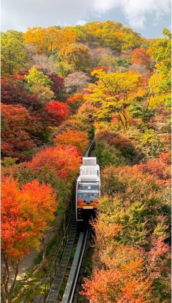 가을, 단풍 구경 추천 장소 경기도 광주 화담숲