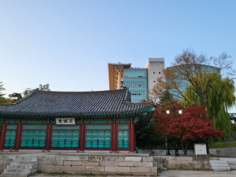 서울 문묘 성균관대 은행나무, 그리고 알 수 없는 인생