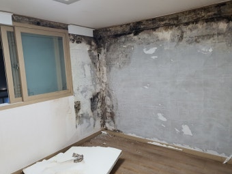 관악구 낙성대동 누수 24시 출장 업체