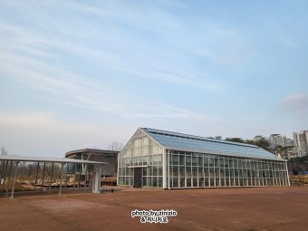 수원 일월공원 저수지 수목원 도서관 호매실 살살녹소