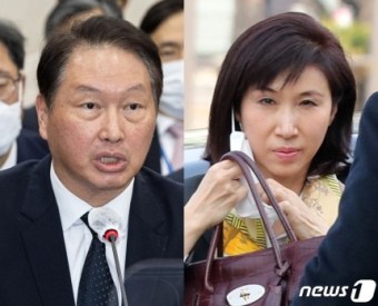 법원 SK 최태원 부부 이혼 노소영에 재산분할 665억원 위자료 1억원 판결 아트센타 나비 나이 프로필