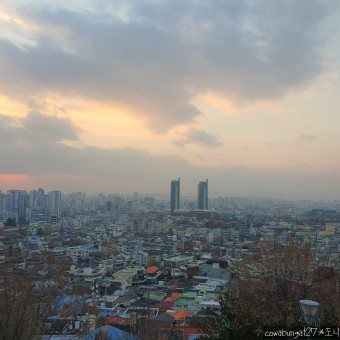 12월 둘째 주 일상 : 대전 광천식당, 성심당, 대동 하늘공원, 5%커피, 달콩이와 할머니