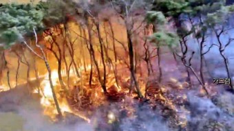 충남 홍성, 산불 화재 피해 민가까지? 주민 어쩌나 당황 발만 동동