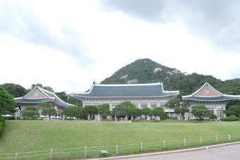 청와대 관람 개방예약하고 다녀왔어요 (ft. 당일예약 / 관람시간 / 주차장)