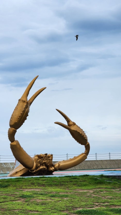 이미지 저작권은 마음으로 보고 느끼는 한장의 사진!  에 있으며, 문제시 삭제 하겠습니다.