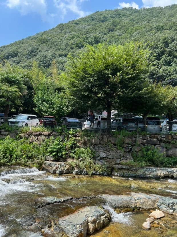 ?src=http%3A%2F%2Fblogfiles.naver.net%2FMjAyMzA3MzFfMjMg%2FMDAxNjkwODEzNzQ1NzU4.R37soVS58ARC7Qzog122NRE-NF9HxnflJYwGDnBmy88g.3yiWCyIA7bjXEK7DOGO_yCHg928eCMeshx4SqmYs788g.JPEG.mean_joo%2FIMG_7604.jpg&type=sc960_832